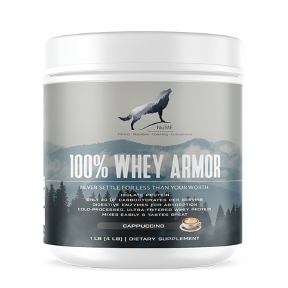 1lb 100% Whey Armor Isolate Protein Cappuccino