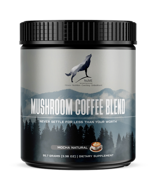 Mushroom Coffee Blend (Mocha Natural)