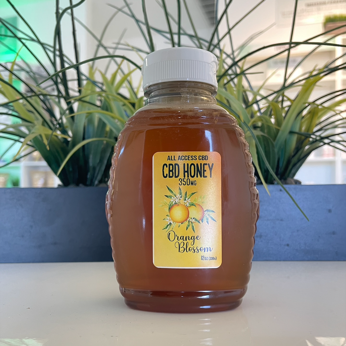 CBD Honey Bear Infused Honey 350MG